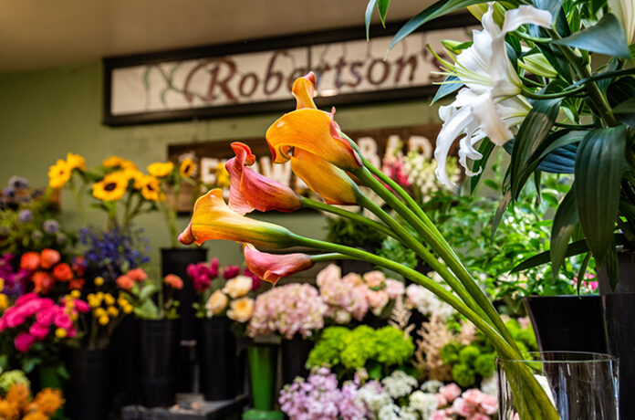 Robertson's Floers & Events Interior